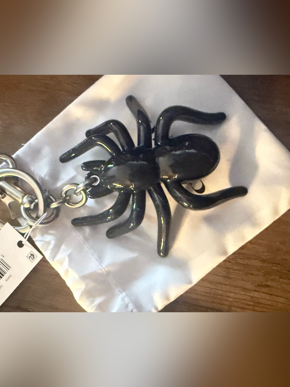 Coach Black Spider